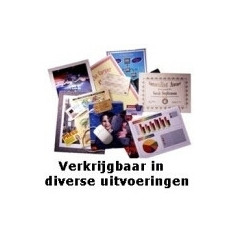 GBC Pouch per plastificazione documenti A3 2x125mic lucide (100)